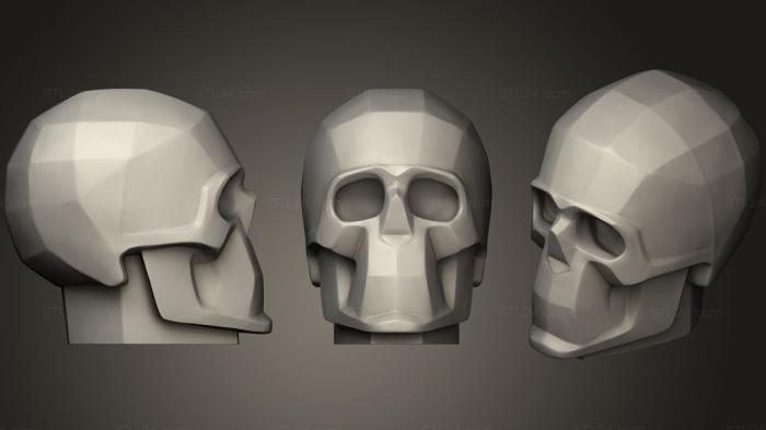 Anatomy of skeletons and skulls (Planes of the skull, ANTM_0941) 3D models for cnc